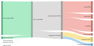 Read more about the article Family Income Statement Sankey Diagram